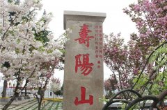 西安高橋墓園怎么樣環(huán)境、風(fēng)水好嗎