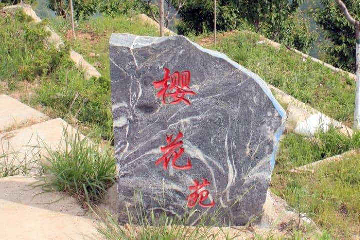 西安壽陽(yáng)山公墓櫻花苑區(qū)域