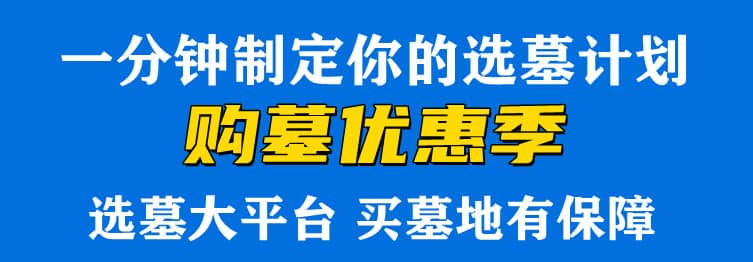 購墓指導(dǎo)、方案策劃