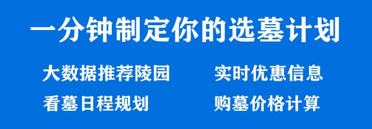 購墓指導(dǎo)、方案策劃