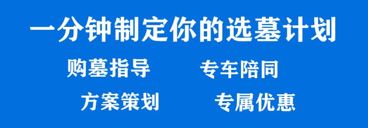 購墓指導(dǎo)、方案策劃