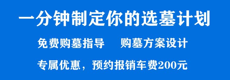 購墓指導(dǎo)、方案策劃