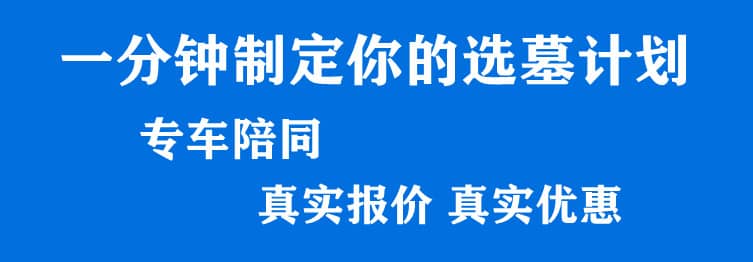 購墓指導(dǎo)、方案策劃