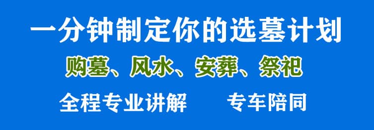 購墓指導(dǎo)、方案策劃