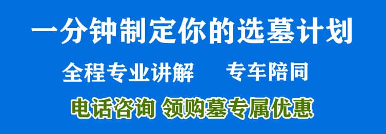 購墓指導(dǎo)、方案策劃