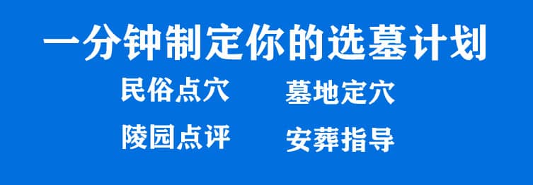 購墓指導(dǎo)、方案策劃