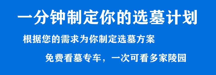 購墓指導(dǎo)、方案策劃