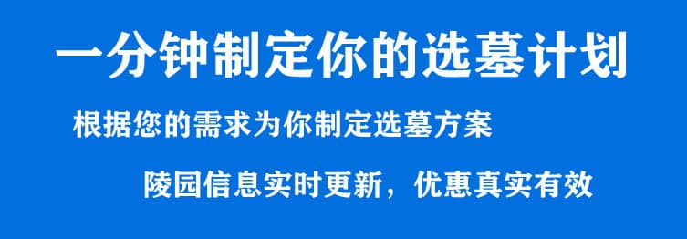 購墓指導(dǎo)、方案策劃