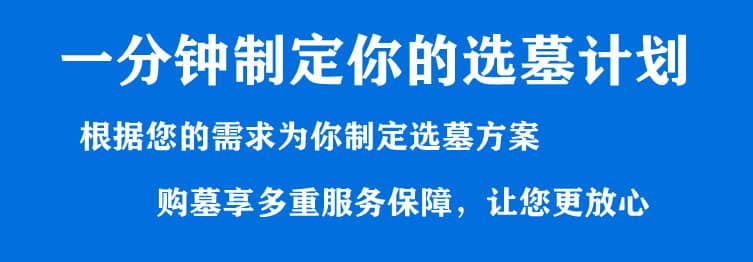 購墓指導(dǎo)、方案策劃