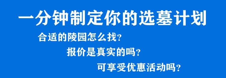 購墓指導(dǎo)、方案策劃