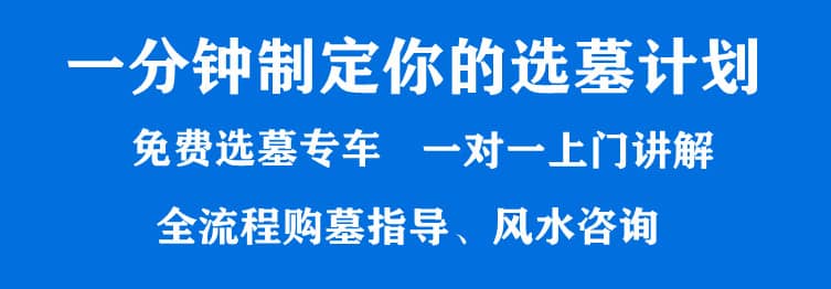 購墓指導(dǎo)、方案策劃