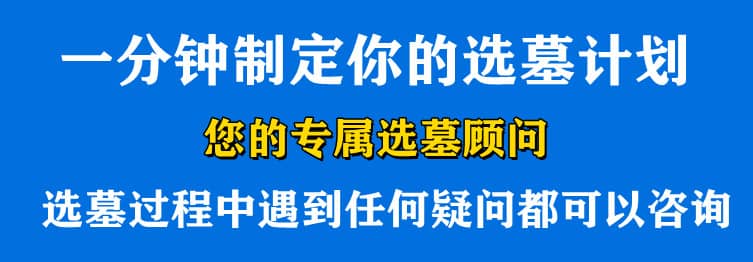 購墓指導(dǎo)、方案策劃