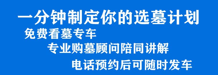 購墓指導(dǎo)、方案策劃