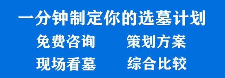 購墓指導(dǎo)、方案策劃