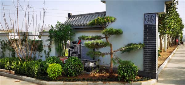 漢皇樹(shù)葬墓園和昭陵墓園在地理位置上有何不同，這對(duì)選擇墓園有何影響？