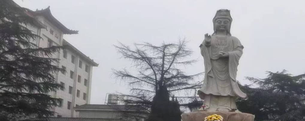 在西安鳳棲山墓園南區(qū)安葬時，有哪些行為是被禁止的？