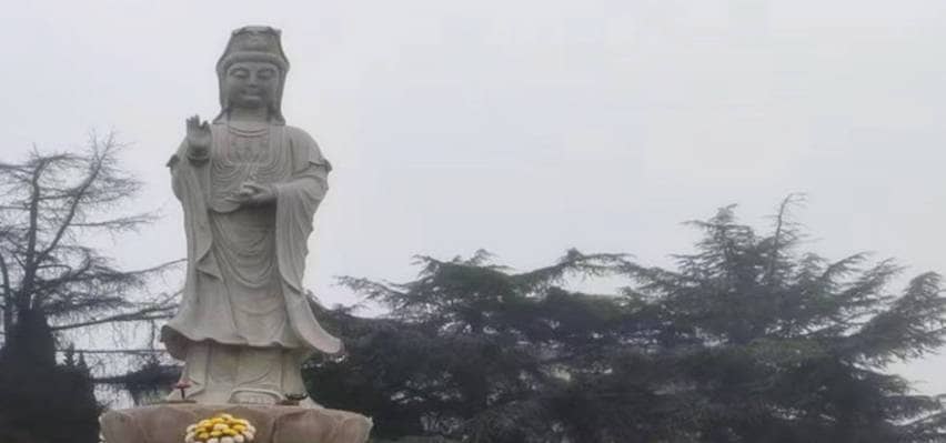 西安鳳棲山墓園南區(qū)祭祀須知