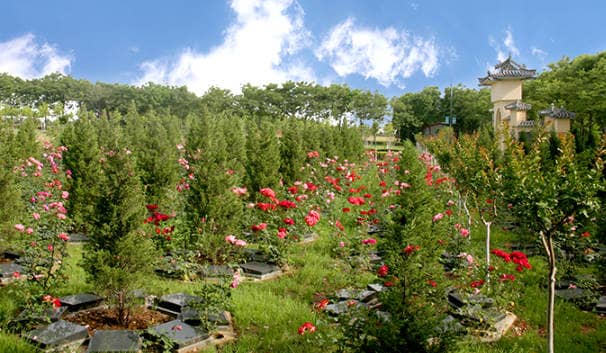 西安鳳棲山北區(qū)樹葬墓地址