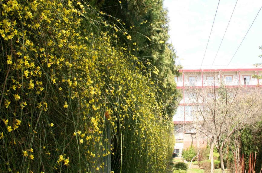 西安鳳棲山墓園賓客入園須知