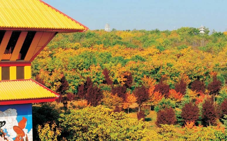 西安鳳棲山墓園預(yù)約參觀流程詳解