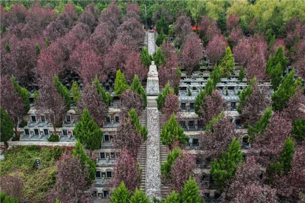 壽陽(yáng)山墓園如何確保家屬能夠方便地參觀和考察，以及墓園的經(jīng)營(yíng)性質(zhì)和服務(wù)質(zhì)量如何？