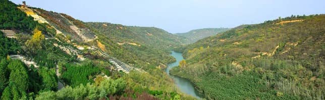 西安市壽陽(yáng)山墓園清明祭掃公告