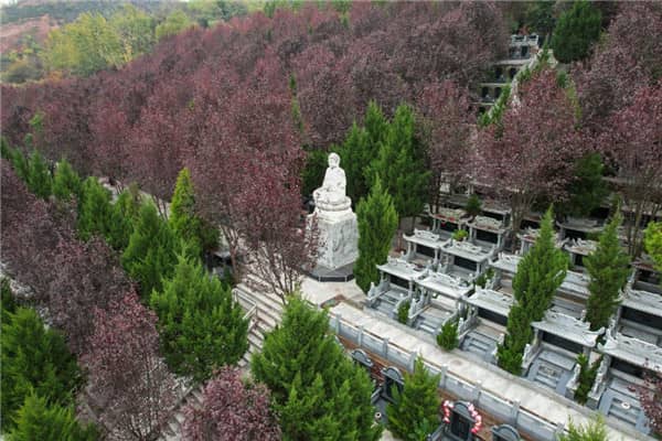 壽陽山墓園西安地址在那，在公墓等到美的花開時