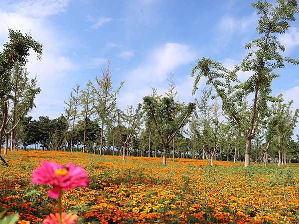 西安市壽陽(yáng)山墓園聯(lián)系電話 西安壽陽(yáng)山墓園下葬時(shí)間