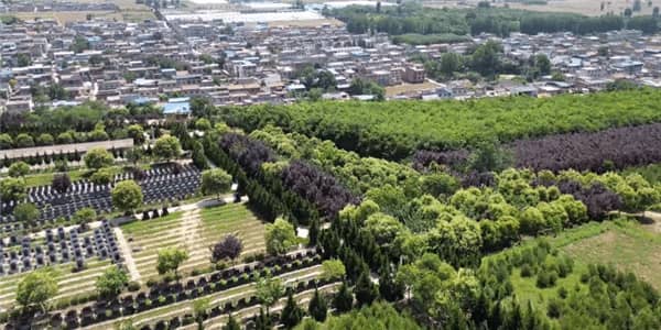 西安壽陽山墓園掃墓：尊重生命，緬懷逝者