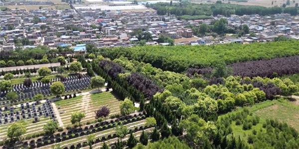 西安壽陽山墓園的墓地價(jià)格區(qū)間如何，是否適合不同預(yù)算的家屬？