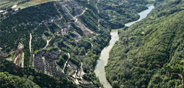 如果我選擇自駕前往西安壽陽山公墓，有哪些比較便捷的路線可以選擇，各自的特點是什么？