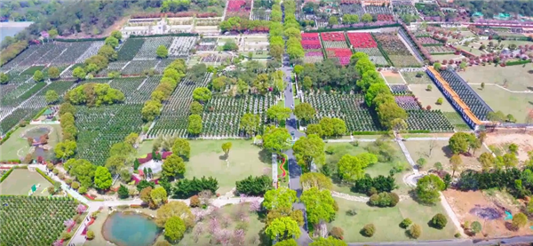 西安壽陽山墓園的自然景觀有哪些獨特之處，如何影響人們的感受？