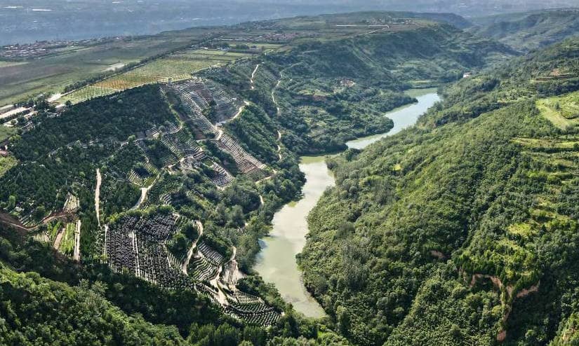 在九九重陽節(jié)這樣的傳統(tǒng)節(jié)日里，西安壽陽山墓園為家屬提供了哪些服務(wù)或活動，以幫助他們表達對逝去親人的思念之情？