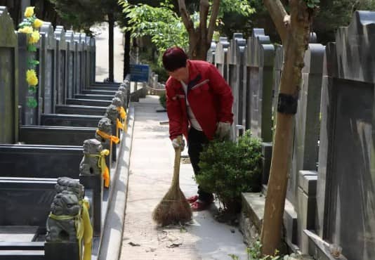 西安壽陽山墓園墓碑與園林景觀的綠色融合