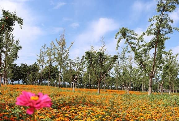 西安壽陽(yáng)山墓園掃墓通知，傾聽(tīng)生命的故事