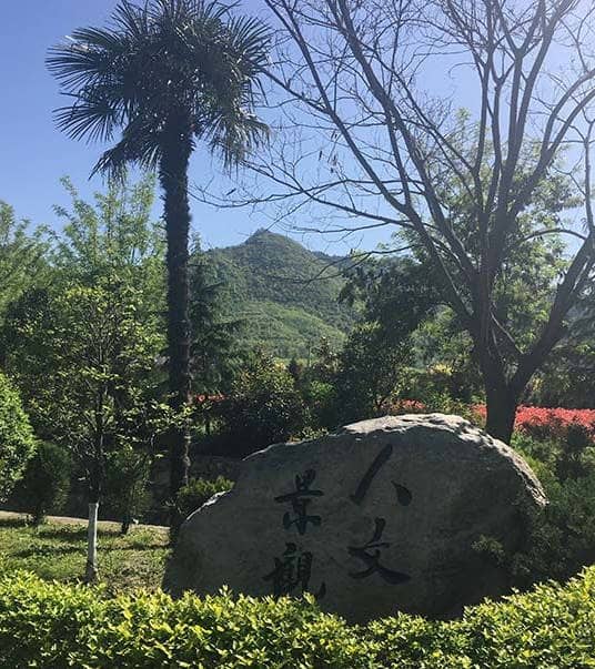 金南山陵園和慈恩園墓地分別位于西安的哪些區(qū)域，各自有哪些特色？