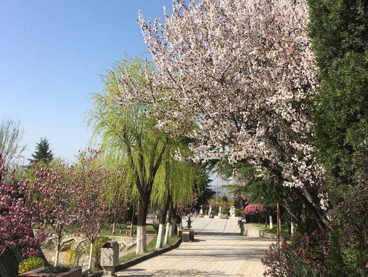 長安慈恩園——清明追思 緬懷先祖