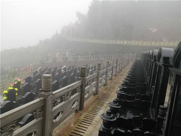 九龍山墓園位于哪個地區(qū)，其地理環(huán)境有何特色？