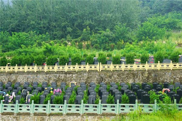 如果從西安市區(qū)出發(fā)，駕車前往西安九龍山公墓的最佳高速線路是怎樣的？