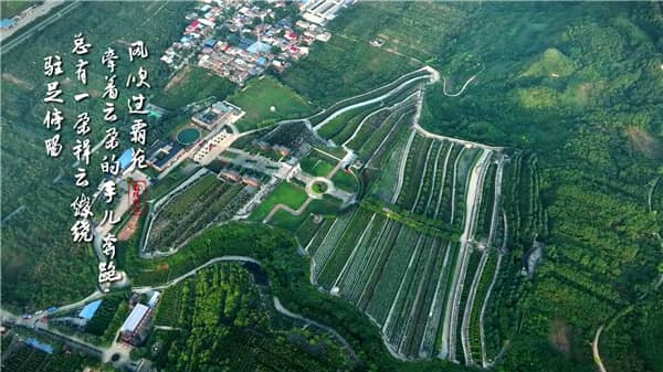 西安霸陵墓園新區(qū)大力推廣草坪葬、樹葬、格位葬、花壇葬等生態(tài)葬法