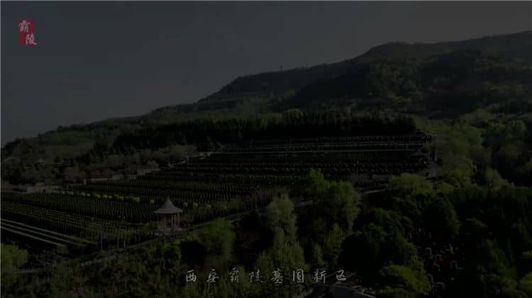 西安霸陵墓園不僅具有深厚的歷史背景和文化底蘊(yùn)，還提供多種優(yōu)質(zhì)的服務(wù)項(xiàng)目和環(huán)保舉措