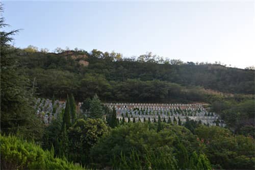 西安高橋墓園的自然環(huán)境有哪些獨特之處，使其被譽為風水寶地？