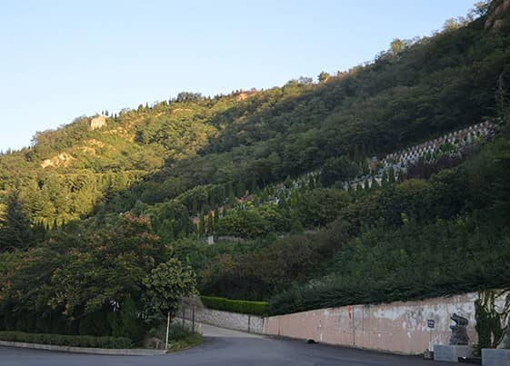 西安高橋墓園是在何時由哪個機構批準興建的，并且它的直接領導單位是誰？