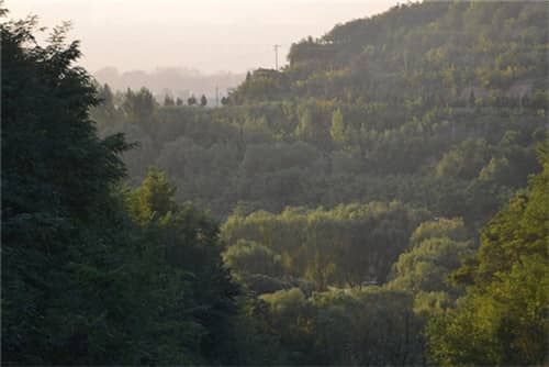 高橋墓園是西安市內(nèi)一處重要的生態(tài)藝術(shù)墓園