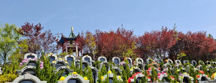 西安白鹿原墓園寒衣祭掃哀思，感恩分享好禮送