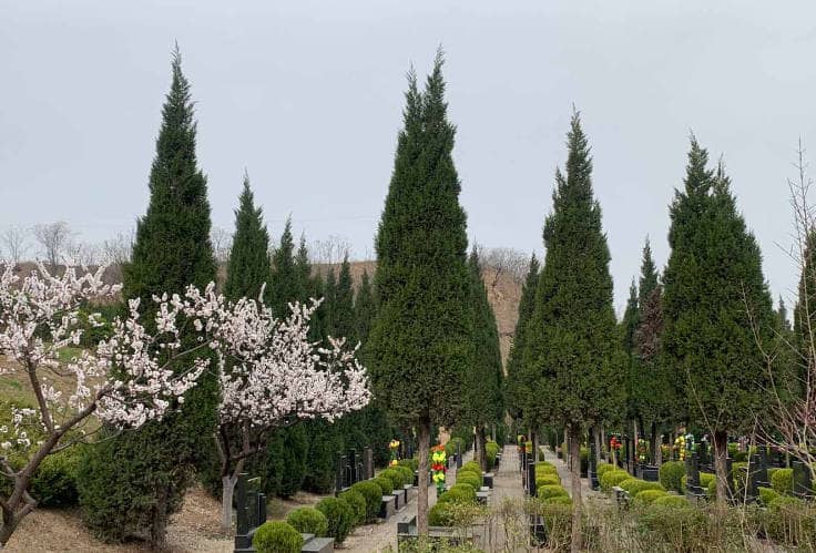 清明歲歲寄追思——臥龍山福園