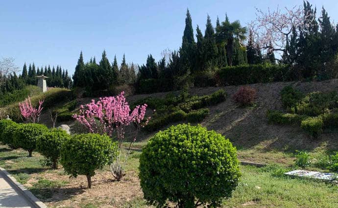 臥龍山福園位于哪里，它的陵園面積有多大，看墓時間是如何安排的？