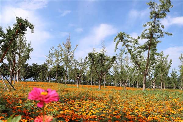 在選擇西安陵園時(shí)，市民應(yīng)該考慮哪些關(guān)鍵因素？為什么這些因素很重要？