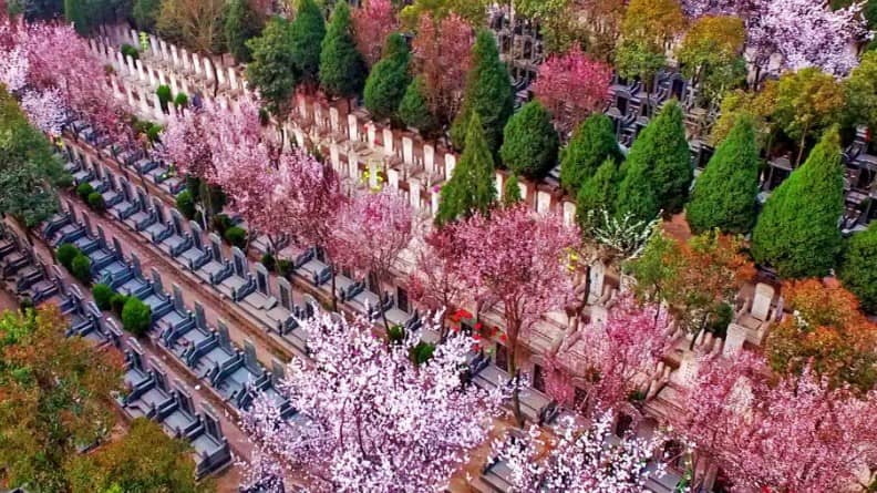 西安墓園嚴禁燒紙紙扎等易燃祭祀用品及鞭炮入園