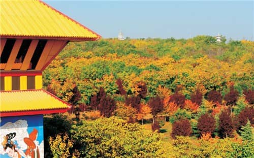 西安市墓園哪里好，永生的陪伴